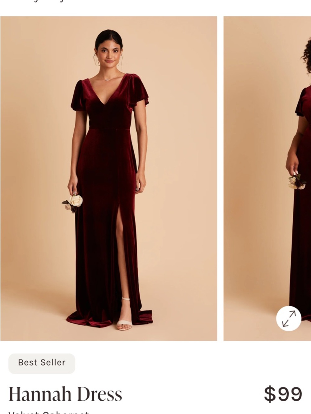 Birdy Grey Velvet Hannah Dress in Cabernet